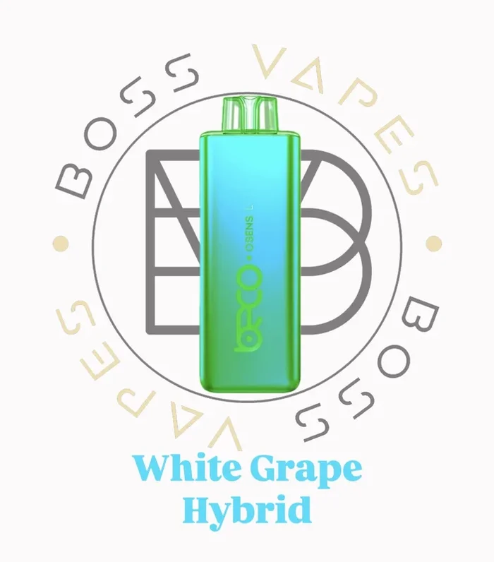 Beco Slim (7K Puffs) HYBRID