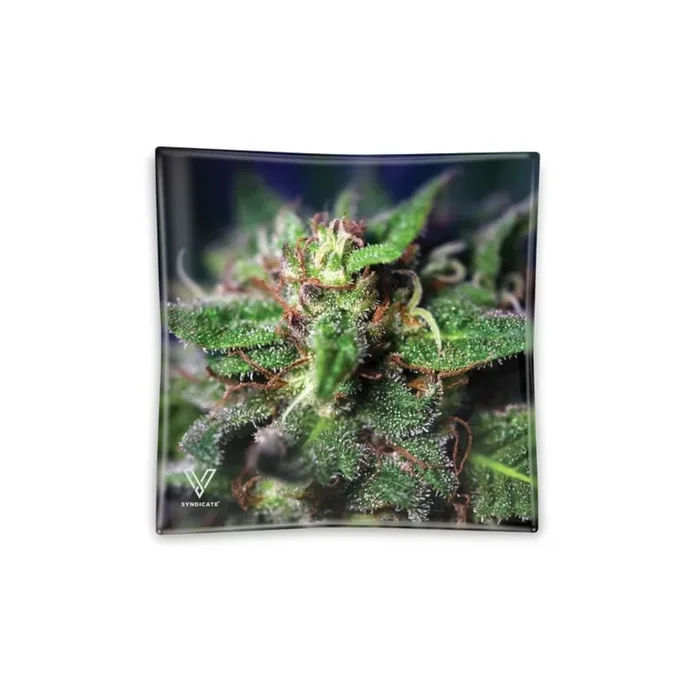 Blazin’ Glass Ashtray | Blue Dream