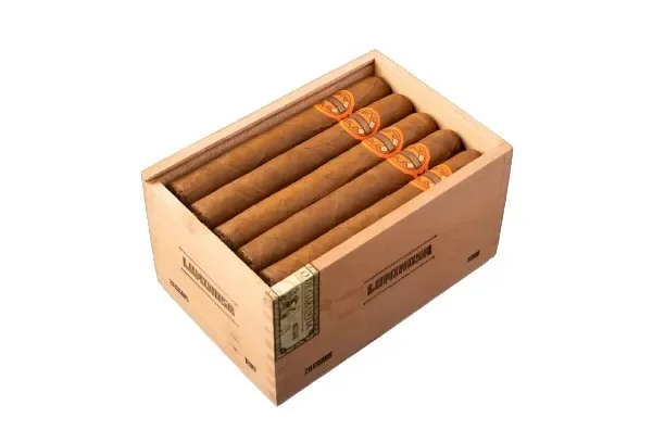 Crowned Heads Luminosa Robusto