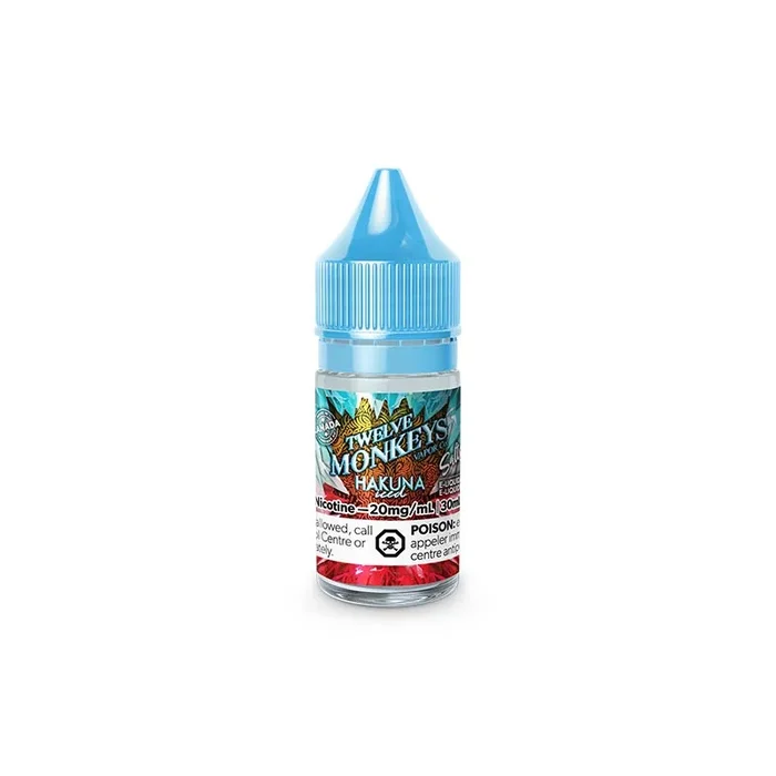 Hakuna Iced Salts by Twelve Monkeys Ice Age Juice