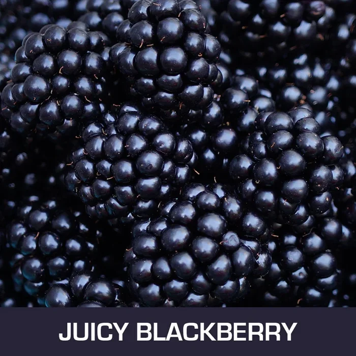 Juicy Blackberry Gourmet Eliquid