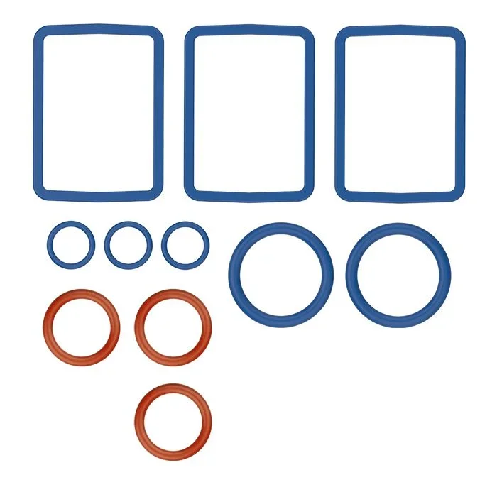 Seal Ring Set – Venty