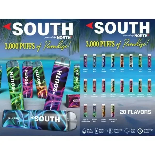 South by North 3000 Puffs Disposable Vape 10 Pack