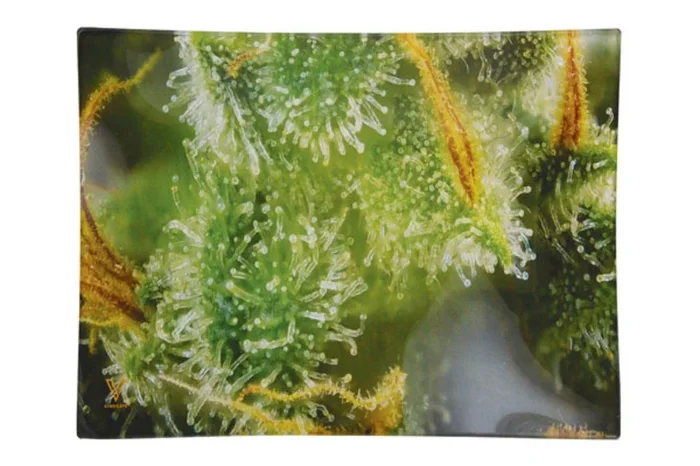 Tricomb Jungle Glass Rolling Tray – 2 Sizes