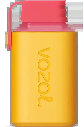VOZOL – Gear 600 – Kiwi Passionfruit Gauva