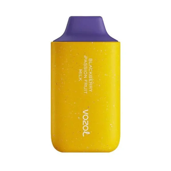 Vozol Star 6000 Puff Disposable Vape 10 Pack 14mL