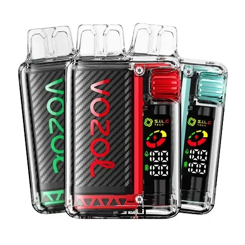 Vozol Vista 16000 Vape – 10 Pack
